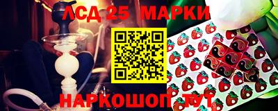 spice Камышлов