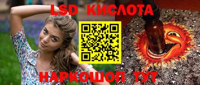 spice Камышлов