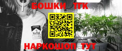 spice Камышлов