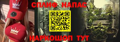 spice Камышлов
