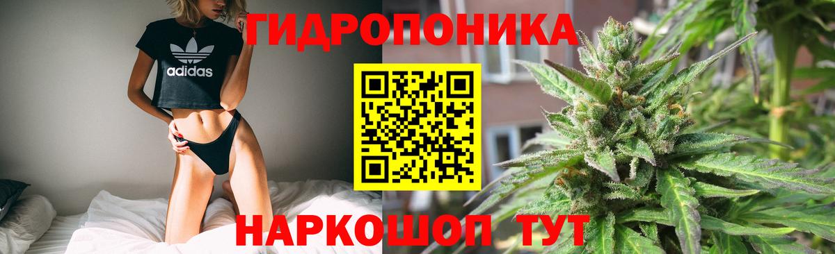 Конопля Ganja  Бошки Шишки семена  Вход с VPN  МАРИХУАНА индика  Усинск  Конопля MAZAR 